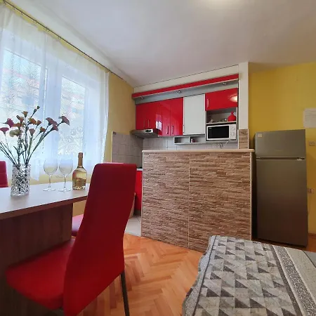 Apartament Ribarević *