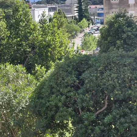 Ribarevic アパート マカルスカ