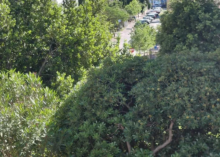 Ribarevic Lägenhet Makarska